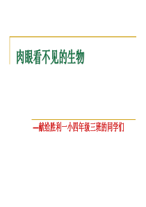 人教版小学科学24肉眼看不见的生物四年级上册PPT课件