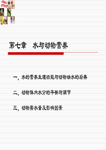 人教版小学科学41水与动物营养三年级上册ppt课件