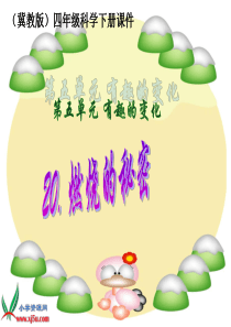 冀教小学科学四年级下册册20燃烧的秘密PPT课件