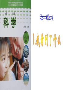 教科版小学科学三年级上册11我看到了什么PPT课件12