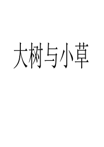 教科版小学科学三年级上册13大树和小草PPT课件10