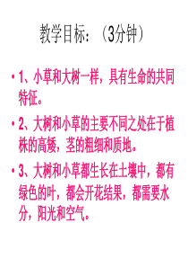 教科版小学科学三年级上册13大树和小草PPT课件15