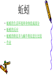 教科版小学科学三年级上册24蚯蚓PPT课件13