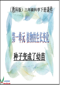 教科版小学科学三年级下册14种子变成了幼苗PPT课件4