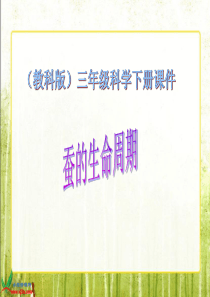 教科版小学科学三年级下册25蚕的生命周期PPT课件5