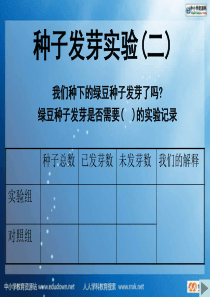 教科版小学科学五年级上册12种子发芽实验二PPT课件2