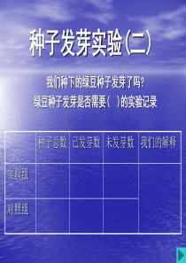 教科版小学科学五年级上册12种子发芽实验二PPT课件4