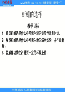 教科版小学科学五年级上册14蚯蚓的选择PPT课件2