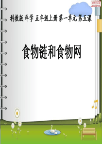 教科版小学科学五年级上册15食物链和食物网PPT课件14