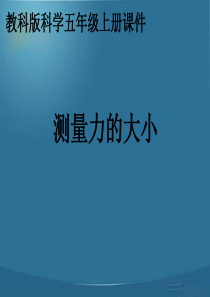 教科版小学科学五年级上册44测量力的大小PPT课件6