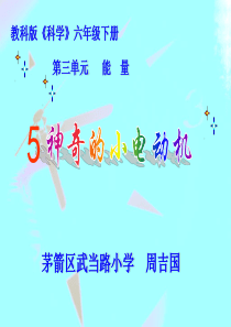 教科版小学科学六年级上册35神奇的小电动机PPT课件8