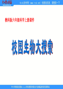 教科版小学科学六年级上册41校园生物大搜索PPT课件2