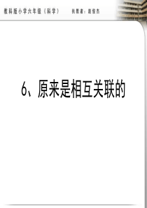 教科版小学科学六年级上册46原来是相关联的PPT课件10