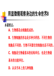 教科版小学科学六年级下册17用显微镜观察身边的生命世界三PPT课件5