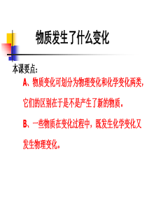 教科版小学科学六年级下册22物质发生了什么变化PPT课件4