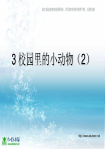 苏教小学科学三年级上册05校园里的小动物PPT课件5