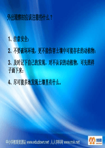 苏教小学科学三年级下册11我们周围的土壤PPT课件3