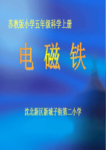 苏教小学科学五年级上册35电磁铁PPT课件5