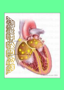 苏教小学科学五年级上册41测量呼吸和心跳PPT课件6