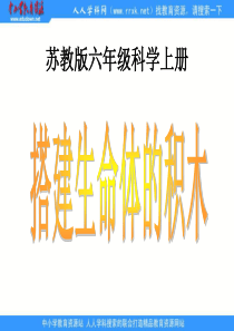 苏教小学科学六年级上册14搭建生命体的积木PPT课件2