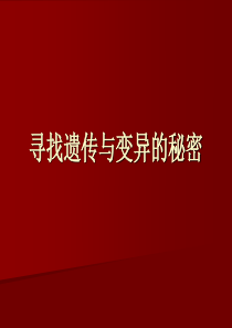 苏教小学科学六年级下册23寻找遗传与变异的秘密PPT课件13