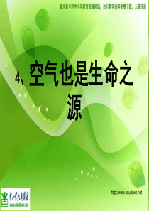 苏教小学科学四年级上册14空气也是生命之源PPT课件7