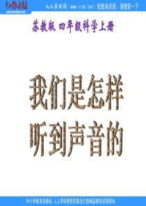 苏教小学科学四年级上册33我们怎样听到声音的PPT课件5