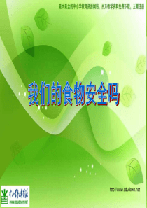 苏教小学科学四年级上册44我们的食物安全吗PPT课件4