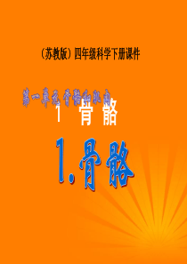 苏教小学科学四年级下册11骨骼PPT课件2