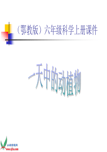 鄂教版小学科学六年级上册9一天中的动植物PPT课件2