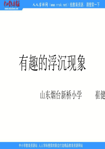 青岛小学科学三年级上册15有趣的浮沉现象PPT课件5