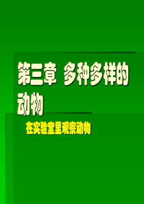 青岛小学科学三年级下册18多样的动物PPT课件2