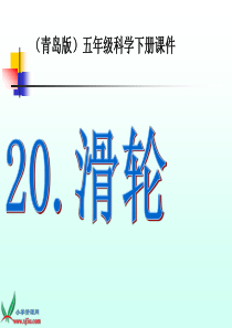 青岛小学科学五年级下册20滑轮PPT课件2