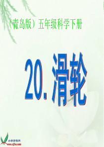 青岛小学科学五年级下册20滑轮PPT课件4