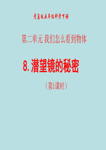 青岛小学科学五年级下册8潜望镜的秘密PPT课件5