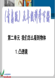 青岛小学科学四年级下册13凸透镜PPT课件7