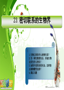 青岛小学科学四年级下册19密切联系的生物界PPT课件6