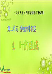 首师大小学科学四年级上册4叶的组成PPT课件3