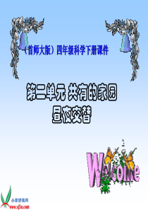 首师大小学科学四年级下册6昼夜交替PPT课件2