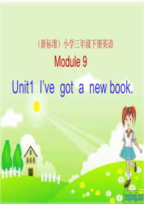 三年级下I-have-got-a-new-book.课件