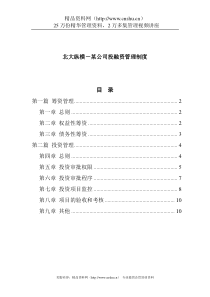 北大纵横－某公司投融资管理制度