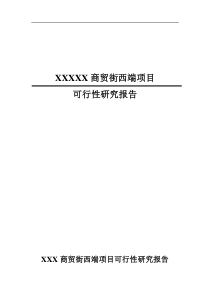 XXX商贸街西端项目可行性研究报告