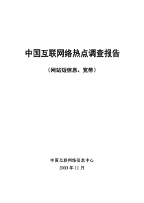 中国互联网络调查报告2006