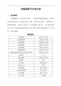 凤凰国际可行性分析DOC39页