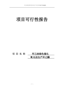 化氧化法生产环己酮项目可行性报告