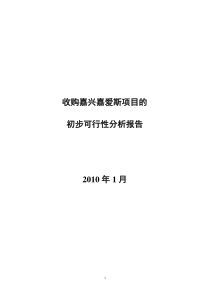 斯热电有限公司初步可行性分析报告