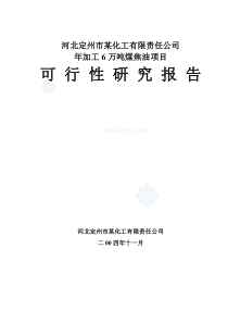 河北某化工公司年加工6万吨煤焦油项目可行性研究报告secret