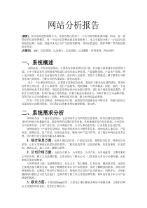 网站分析报告