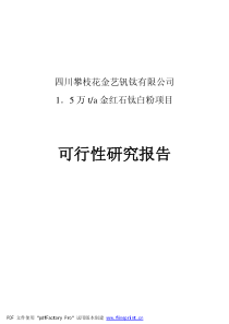 金艺钛白可行性研究报告