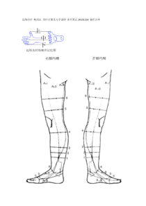 远络治疗-柯尚志-治疗点图及文字说明-读书笔记20151218-锚爪分享